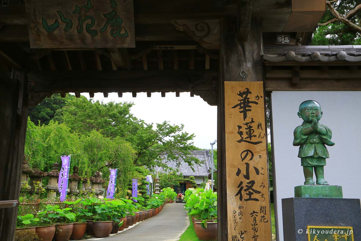 ききょう寺（香勝寺）「華蓮の小径」