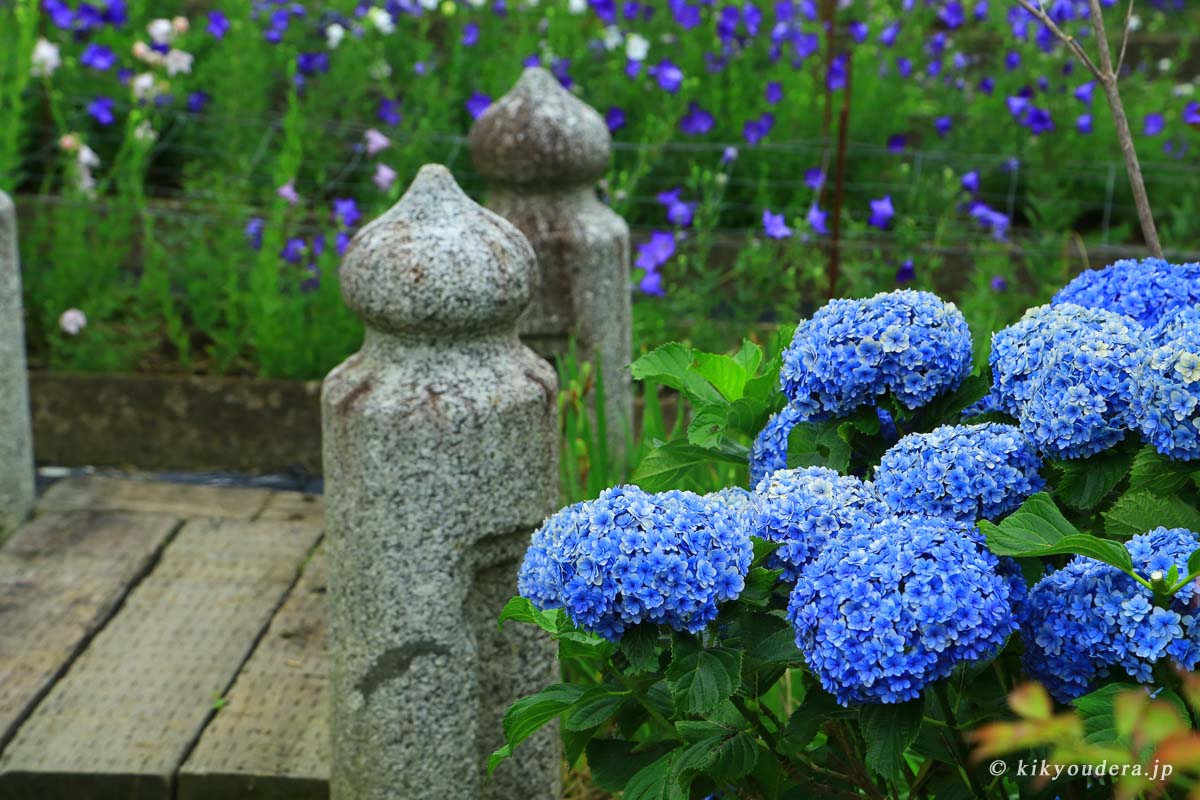 ききょう寺（香勝寺）「永代供養」